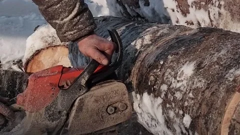 A worker saws a large log with a gasoline chainsaw , a close - up view Stock Footage 170850294