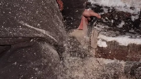 A worker saws a large log with a gasoline chainsaw , a close - up view Stock Footage 170850431