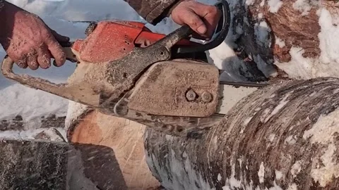 A worker saws a large log with a gasoline chainsaw , a close - up view Stock Footage 170850746