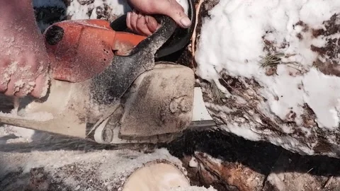 A worker saws a tree with a chainsaw. A forester saws a log into pieces. clos Stock Footage 170723507