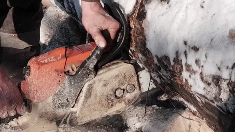 A worker saws a tree with a chainsaw. A forester saws a log into pieces. clos Stock Footage 170723617