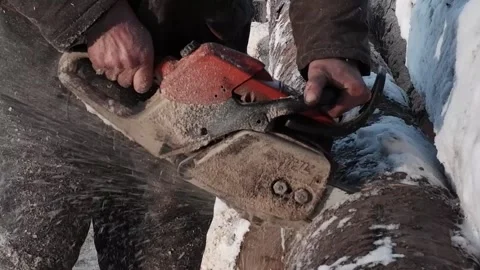 A worker saws a tree with a chainsaw. A forester saws a log into pieces. clos Stock Footage 170723829