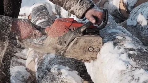 A worker saws a tree with a chainsaw. A forester saws a log into pieces. clos Stock Footage 170724014