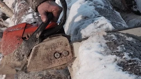 A worker saws a tree with a chainsaw. A forester saws a log into pieces. clos Stock Footage 170724043
