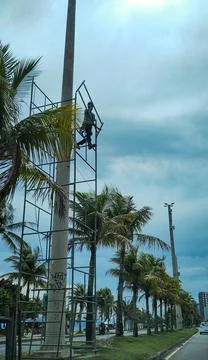 Worker on scaffolding with palm trees in background Stock Photos