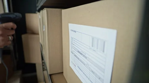 Worker Scanning Barcode on Box for Warehouse Inventory Management 動画素材 337308826