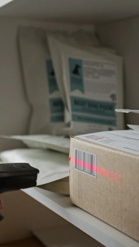 Worker Scanning Barcode on Cardboard Box with Laser Scanner Stock Footage 342598124
