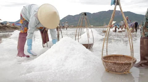 Worker Scoop Salt into Baskets Stock Footage 42392156