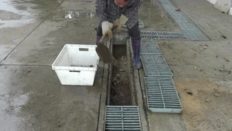 Worker scoop sand with hoe for cleaning. 스톡 동영상 166903366