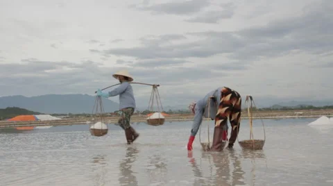Worker Scoops Salt into Basket Stock Footage 42409332