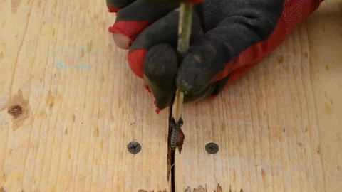 A worker screws a self-tapping screw into a wooden board. Stock Footage 156445123