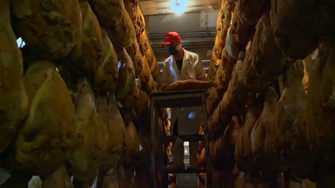 Worker Selecting Prosciutto in Curing Facility​ in Italy Stock Footage 307752937