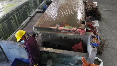 Worker separating copper in Scrap in factory Stock Footage 318644164