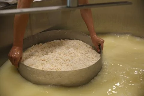 Worker separating curd from whey in tank at cheese factory, closeup Stock Photos