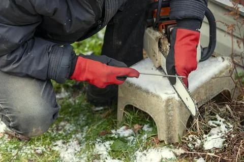 Worker sharpening a chainsaw Photos