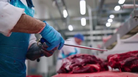 Worker sharpening knife in pork slaughterhouse, meat processing preparation in Stock Footage 333348926