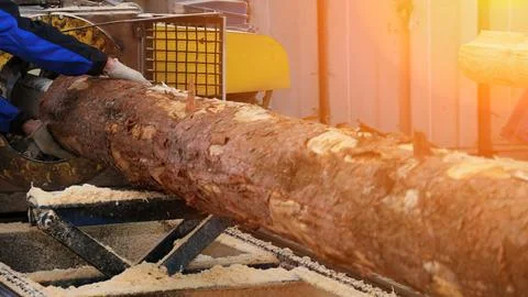 A worker skillfully cuts a sizable log into lumber using a sawmill, surrounde Stock Photos