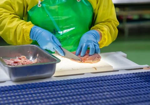 Worker slice and trim chicken parts on cutting board. Stock Photos