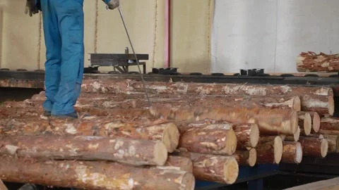 Worker sorting boards after cutting. Sawmill. Manufacturing. Outdated sawmill Stock Footage 131387409