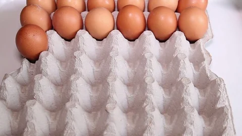 Worker Sorting Fresh Eggs 2 Stock Footage 74791739