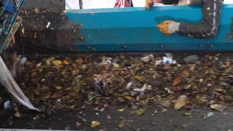 Worker sorting garbage moving on belt at recycling plant Stock Footage 294019713