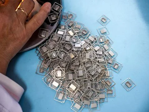 Worker Sorting Microchip Lead Frames on Factory Table Stock Photos