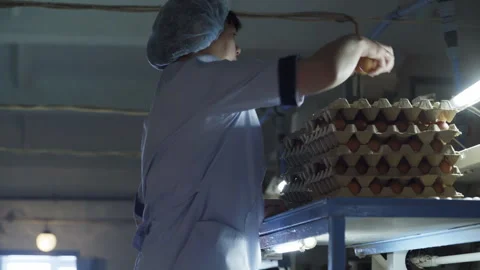 Worker sorting organic eggs at the industrial poultry food production plant Stock Footage 247515926