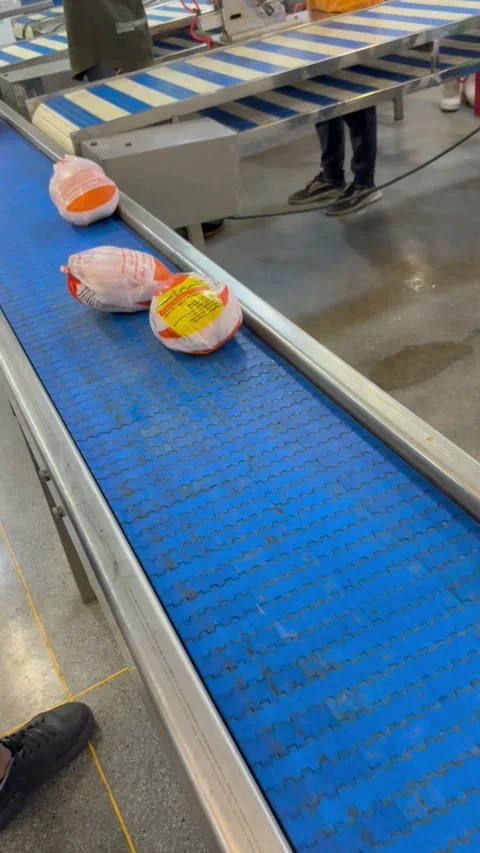 Worker sorting packaged chicken on conveyor belt in plant, vertical Stock Footage 345164831