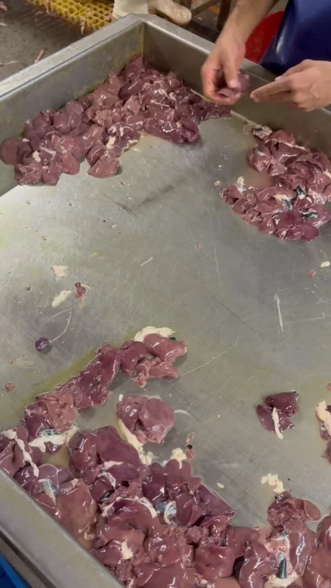 Worker sorting raw chicken livers on table in slaughterhouse, vertical Stock Footage 345164381