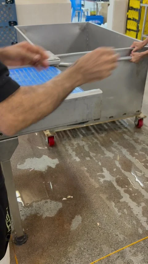 Worker sorting raw chickens on slaughterhouse production line, vertical Stock Footage 345166062