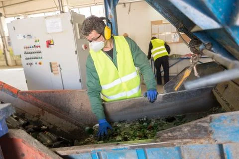 Worker is sorting the recyclable glass material and removing non recyclable t Stock Photos