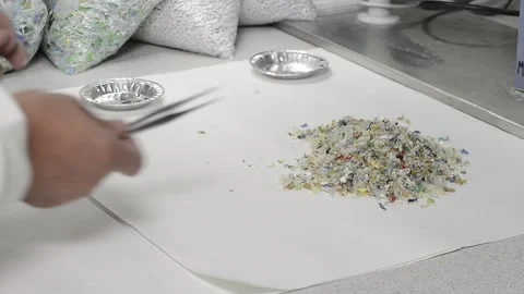 Worker sorting recycled plastic flakes in a laboratory for quality control Stock Footage 332649650