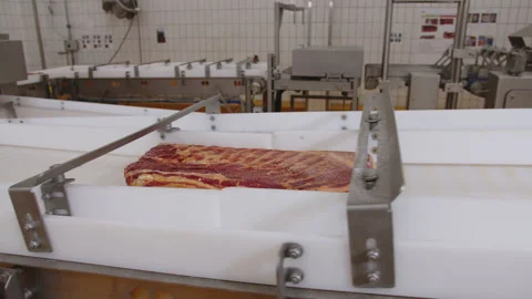 Worker in special clothes controls the process of meat processing plant. Large Stock Footage 205488956