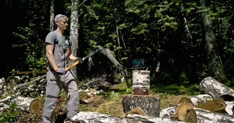 Worker Splitting Firewood with Splitting Axe in Forest - Traditional Wood Stock-Footage 313870169