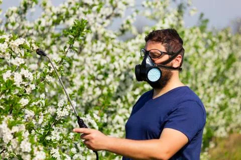 Worker spraying cherry tree Stock Photos