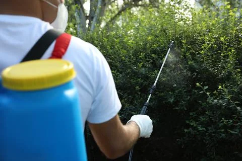 Worker spraying pesticide onto green bush outdoors, closeup. Pest control Stock Photos