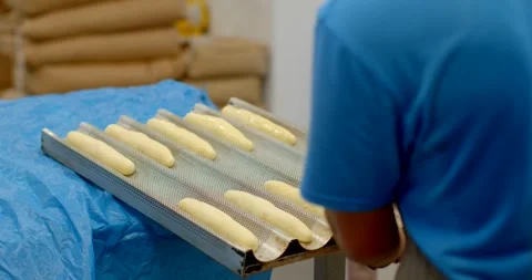 Worker sprays glaze onto rows of unbaked baguette dough in industrial bakery Stock Footage 344583011