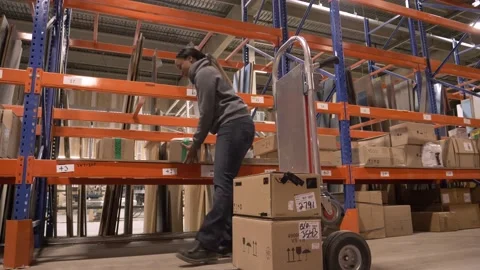 Worker stacking boxes on trolley in distribution warehouse Video stock 221034855