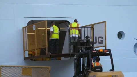 Worker staff members aligning container with help of forklift to unload luggage Video stock 116416887
