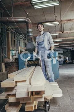 Worker standing with stack of planks on cart in carpentry workshop Stock Photos