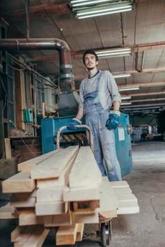 Worker standing with stack of planks on cart in carpentry workshop Stock Photos