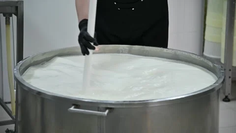 Worker stirs milk mixture in large stainless steel vat during cheese production Stock Footage 335191554