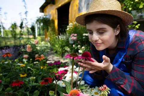 A worker in a straw hat sniffs an aster flower. Garden Shop. Foto stock