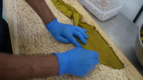 Worker stretches olive green fish skin onto wooden drying board Stock Footage 339642810