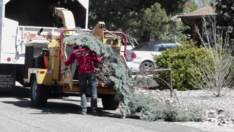 Worker Struggles With Branches inthe Wood Chipper Stock Footage 248627610