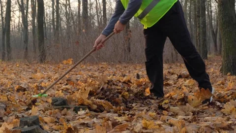 A Worker Sweeps Leaves In The Forest With A Broom Brush. Stock Footage 322214464