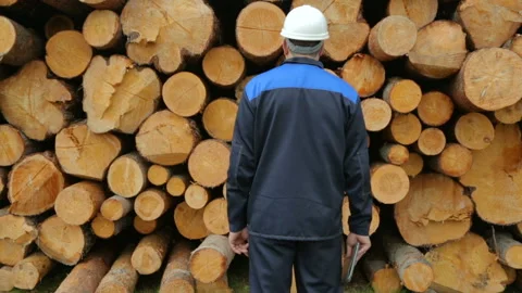 Worker with tablet PC nearby big pile of logs 库存影片 95957010