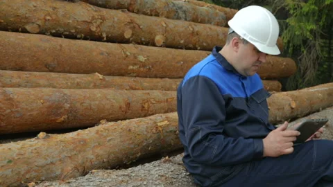Worker with tablet PC sitting on pile of logs Stock Footage 95956056