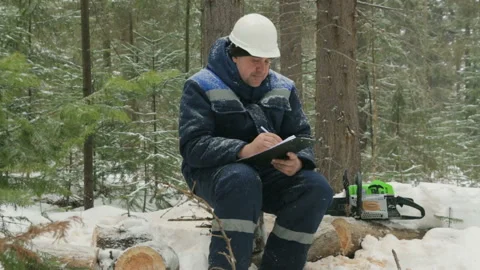 Worker with tablet working in winter forest Stock Footage 87763059