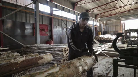 Worker Takes Log Preparing It For Wood Sawing Process At Woodworking Workshop Stock Footage 157821827